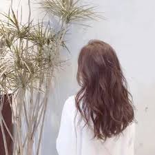 蘋果部長