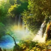 該說執著還是傻